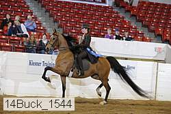 14buck_1544 proof
