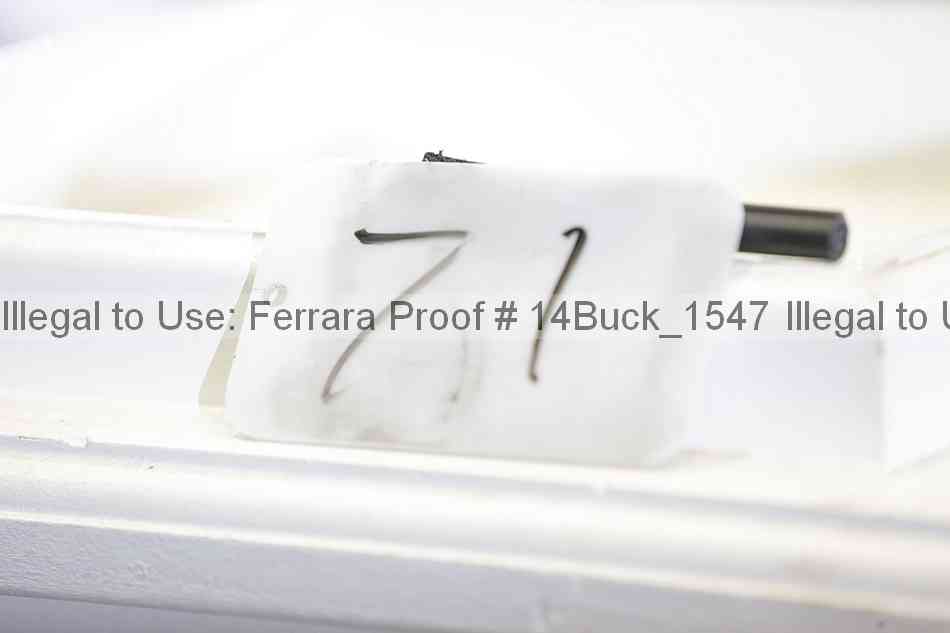 Proof 14buck_1547