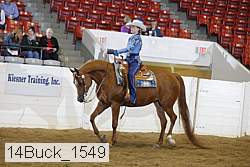 14buck_1549 proof