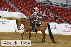 14buck_1554 proof