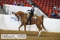 14buck_1558 proof