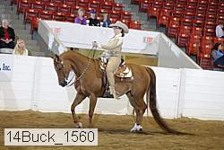 14buck_1560 proof