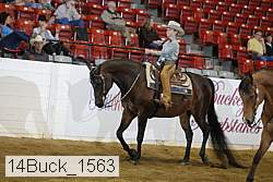 14buck_1563 proof