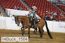 14buck_1564 proof