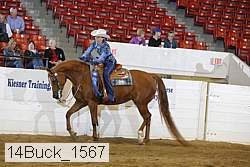14buck_1567 proof