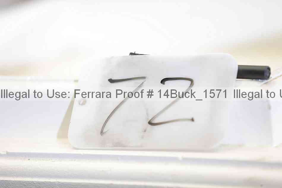 Proof 14buck_1571