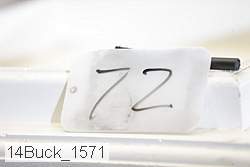14buck_1571 proof