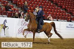 14buck_1572 proof