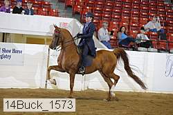 14buck_1573 proof
