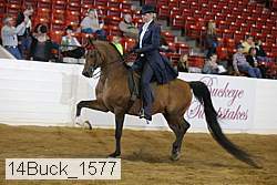 14buck_1577 proof