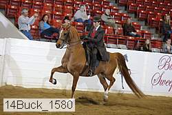 14buck_1580 proof