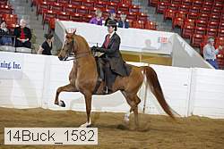 14buck_1582 proof