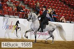 14buck_1585 proof