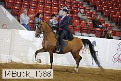 14buck_1588 proof