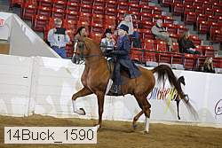 14buck_1590 proof
