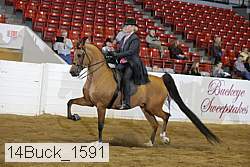 14buck_1591 proof