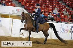 14buck_1592 proof
