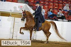 14buck_1594 proof