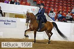 14buck_1596 proof