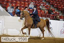 14buck_1598 proof