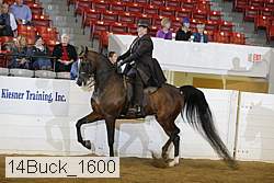 14buck_1600 proof
