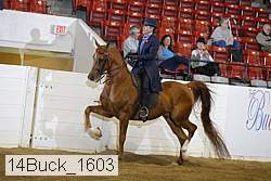 14buck_1603 proof