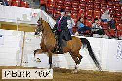 14buck_1604 proof
