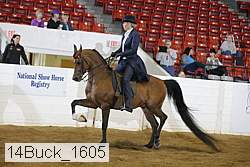14buck_1605 proof