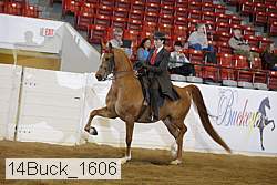 14buck_1606 proof