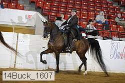 14buck_1607 proof