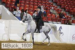 14buck_1608 proof