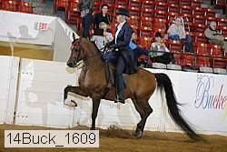 14buck_1609 proof