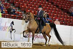 14buck_1610 proof
