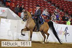 14buck_1611 proof