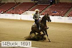 14buck_1691 proof