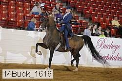 14buck_1616 proof