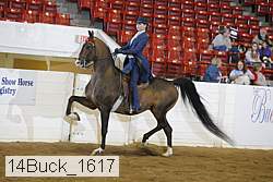 14buck_1617 proof