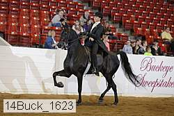14buck_1623 proof