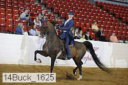 14buck_1625 proof