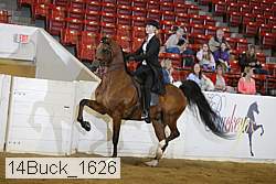 14buck_1626 proof