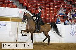 14buck_1630 proof