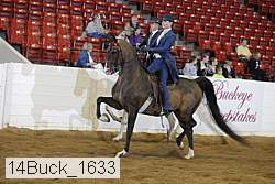 14buck_1633 proof