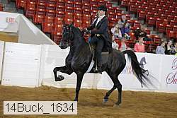 14buck_1634 proof