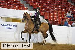 14buck_1636 proof