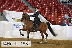 14buck_1637 proof