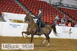 14buck_1638 proof