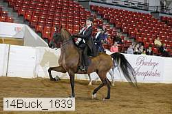14buck_1639 proof