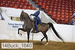 14buck_1640 proof