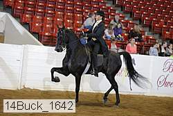 14buck_1642 proof