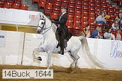 14buck_1644 proof